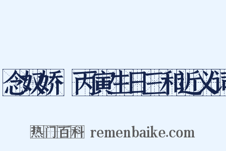 念奴娇·丙寅生日三和近义词是什么意思的图片